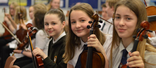 Study in the Library